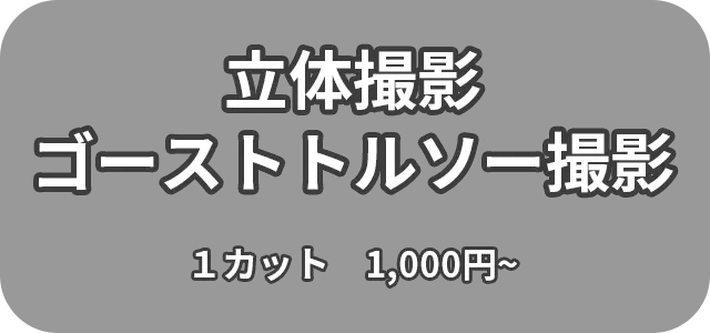 立体撮影 ゴーストトルソー撮影 1カット　1,000円～